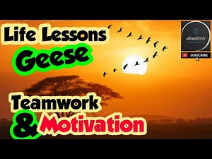 Life lessons from Geese | Geese- Teamwork & motivation | Motivational Video