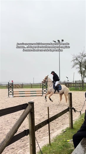 Surtout quand tu n’a pu aucune envie de monter à cheval et qu’on te force à faire des concour alors que les séance c’est déjà compliqué #cheval #peur #pression #concour #deception