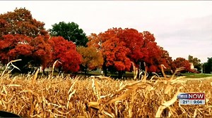 You could say that Table Rock is the sugar maple capital of Nebraska. We find out why in this story. | Pure Nebraska