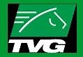 Dish Network Launches TVG Interactive