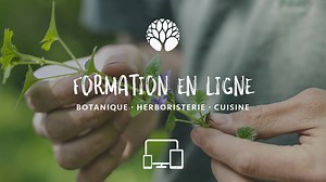 137K views · 1K reactions | Cela vous dit d’apprendre à reconnaître,...