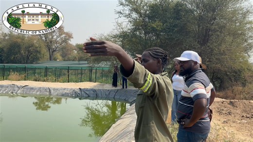 THRIVING || Kapande Foundation Garden located in Divundu is one of the thriving self funded gardens in the Kavango Eat region. Located in the Southeastern banks of the Okavango River, the garden gives an opportunity to 14 young women and men to venture into gardening and make a living. Started in 2023 by Mr. Patrick Kafuka, the garden produces a variety of vegetables, eggs, free range chickens and fish among other items. The project was visited by the Parliamentary Standing Committee on Poverty 
