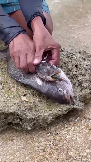 Fish Swallows Another Fish Whole! Shocking Catch Ever Caugh