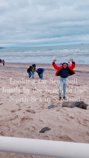 Looking for Sea shell fossils by the beach of the North Sea in Scotland #viralreels #goviral #fypviralシ | Amaka's Healthy Kitchen & Lifestyle