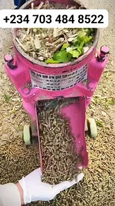 🔥🔥Now available Pellet machines are available for sale. Electric motor Petrol engine Diesel We are located in Makurdi Benue state Nigeria and we deliver nationwide. For more details on how to do business with us Whatsapp 234 703 484 8522 #farmlife #flowers #farm Queen Henrietta EzeOmah | Akir Andrew Iorfa