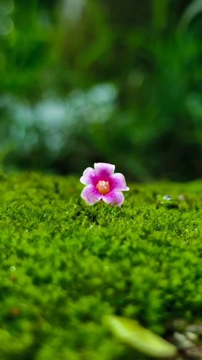 7K views · 695 reactions | Watch the magic happen right after the...