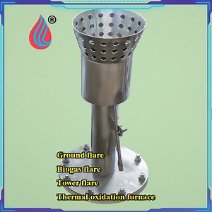 [Hot Item] Customizable Biogas Flare System Torch for Wineries, Farms, Biogas Projects