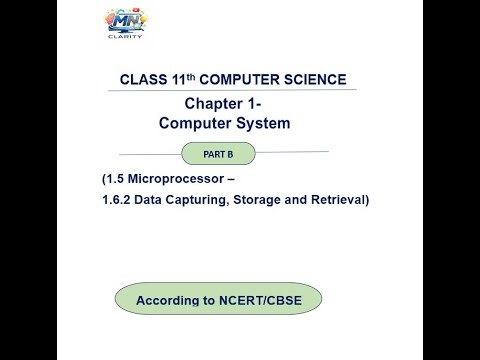 CHAPTER 1 - COMPUTER SYSTEM (PART B) #education #MN CLARITY #ncert