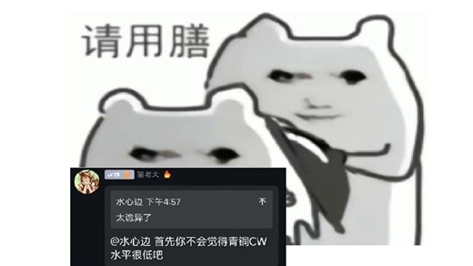 【WOWS】似乎在进行一种很小众，很变态，口味很刁钻的cw
