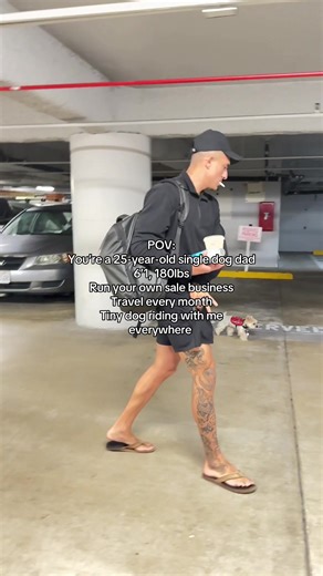 2 big dogs with big goals✈️🥷🏻 | dogs