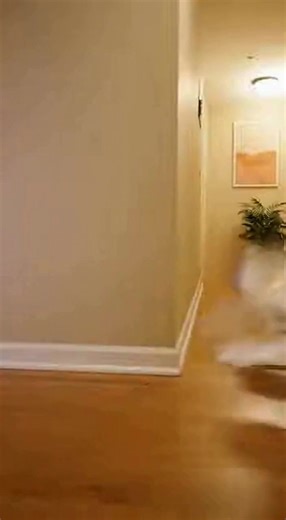 Cockatoo Pranks the Neighbor: ‘Open the Door!’ 😂🕵️‍♂️ #Cockatoo #ParrotComedy #FunnyParrot #BirdPrank #AnimalSkits #TalkingParrot #PetBirds #BirdTok #YouTubeShorts #FunnyShorts #ComedyClip #ViralBird #ParrotLife #CuteAnimals #NeighborPrank | Hoops Nation Daily