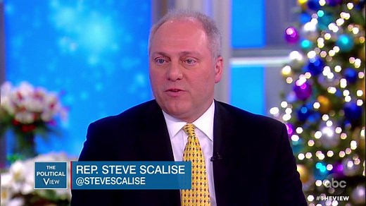 Rep. Steve Scalise on His View of Gun Control After Being Shot
