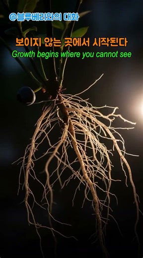 [블루베리와의 대화] 102 보이지 않는 곳에서 시작된다 [Conversation with Blueberries] Growth begins where you cannot see.