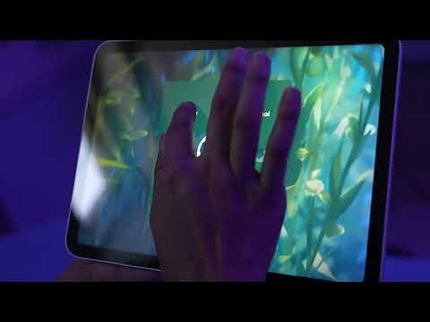 AdventHealth ER at Flamingo Crossings Town Center