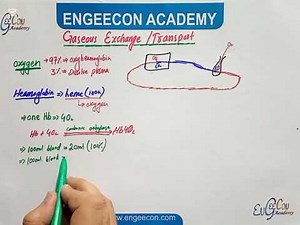 Lecture #09|| Transport of Oxygen|| Respiration Chapter|| Engeecon Academy Biology Lectures