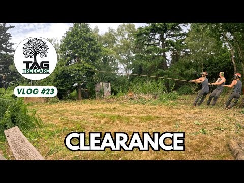 Timelapse: Clearing Brambles & Trees 🌿⏱️ | Tag Tree Care| TAG Tree Care 🌳