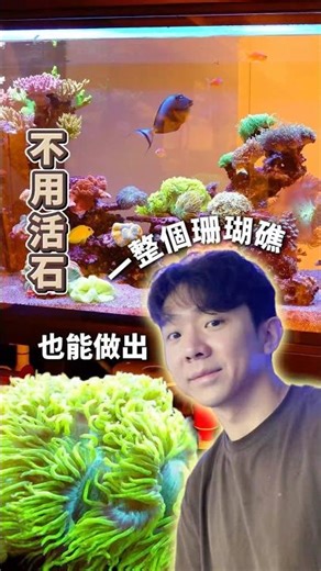 ##《不用活石，也能做出一整個珊瑚礁》