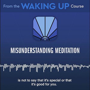 217 reactions · 32 shares | Meditation’s real value isn’t found in the literature. Find more content like this in the Waking Up app. | Sam Harris | Facebook