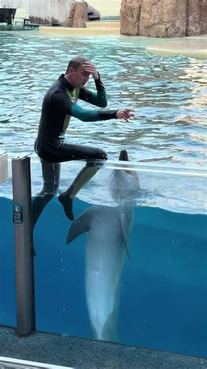Dolphin Adventures at SeaWorld Orlando with Friends