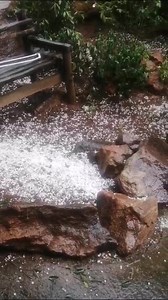 Nice rain and hailstorm in Heidelberg. (February 2, 2025 at 18:10). Video taken by Heidelberg Times. Send us your videos of the stormy weather in the comments section below. #HeidelbergTimes #inclementweather #NowYouKnow | Heidelberg Times