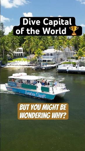 How to go diving in Key Largo, FL 📍🤿 #scubadiving #divetravel #bucketlisttravel