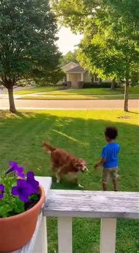 Best-friends playing together forever.