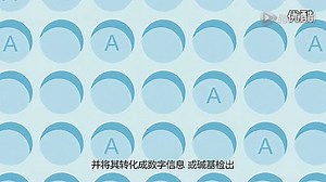 Ion torrent 测序原理 标清