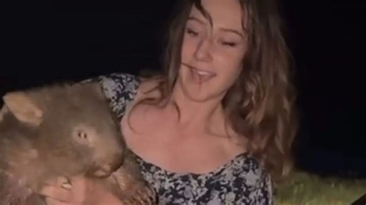 US influencer Sam Jones risks deportation after baby wombat stunt in Australia