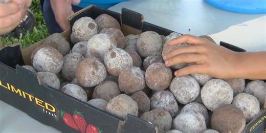Genki ball project loses volunteers after study says process might not work