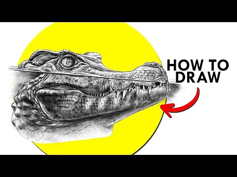 How To Draw A Caiman