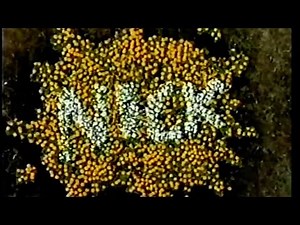 Nickelodeon Garden Bumper (2007)