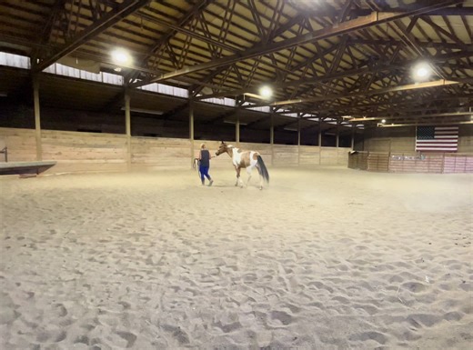 AJ day 74/124 - working on a simple showmanship pattern