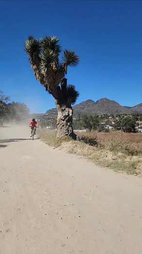 Domingo con causa @fansdestacados Libres, Puebla, Mexico #Puebla #seguidores @retogigantebike | Libres en Imagenes