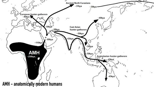 Out of Africa theory changed