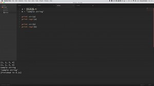 Python Tutorial Str() Vs Repr() : Corey Schafer : Free Download, Borrow, and Streaming : Internet Archive