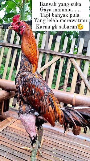 167K views · 2.6K reactions | #fyp | Irpan | Facebook