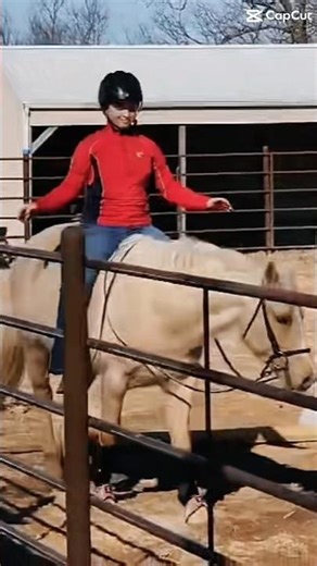 Using split reins for the first time in a long time and doing no hands lol