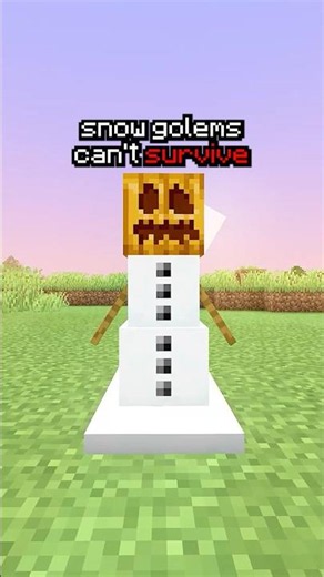 Never Knew THIS Was Possible 😨 #shorts #minecraft