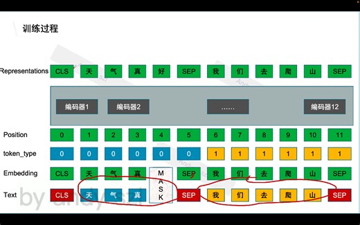 bert训练过程