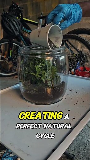 How to build a self-sustaining terrarium#plantcare#howtomakeaterrarium #natureinajar #youtubeshorts