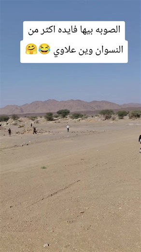 وينك برهيم: ضحك وفائدة