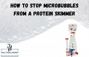 How To Stop Microbubbles From A Protein Skimmer