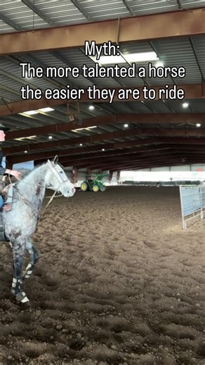 Hooves and Hearts LLC on Instagram: "OTTB getting ready to come to a rodeo near you! Is he easy? No. But he has so much to give and I am so glad we never gave up on eachother. The cool part is, he’s doing well & we aren’t even there (quite yet)🤍 Follow along as I take this account through the process as we train/travel/fill my permit and hit the pro-rodeo circuit next year. Looking forward to soaking up the highs and lows that have come with it and will continue to come with it, all glory to Go