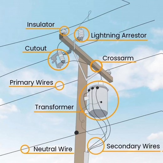 #electrical #pole | EEE- Basic Knowledge for Engineering