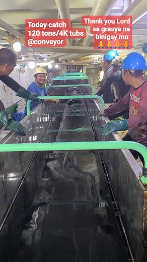 Brailing Time @ Conveyor #fishing #pngtuna #tuna #tunafishing | JJ Rendon Jumuad