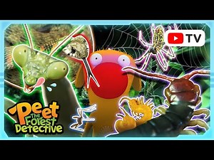 Creepy Crawlies: Spiders, Insects, and More | Peet The Forest Detective