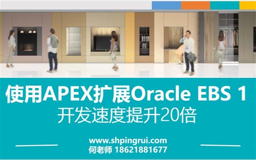 搭建Oracle EBS APEX低代码平台1，页面开发速度提升20倍