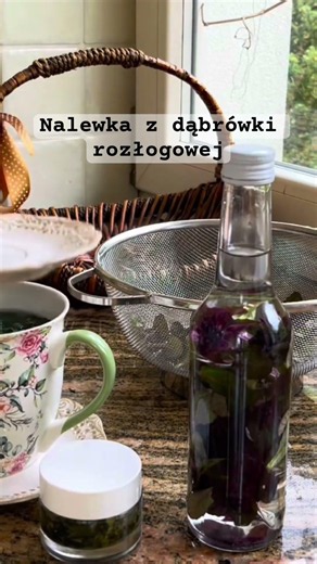 Nalewka z dąbrówki rozłogowej.