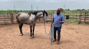 364K views · 10K reactions | I'd like to personally invite you to our...