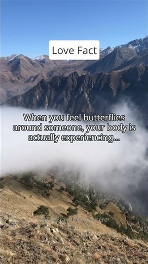 The Truth About Butterflies 🦋